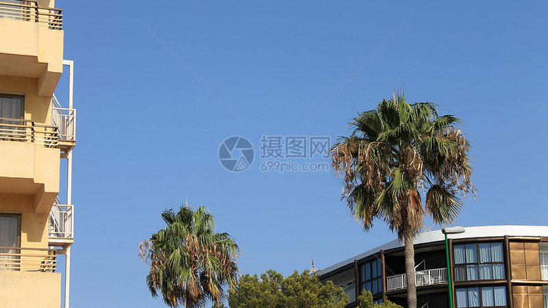 加盟与代理：两种模式的本质区别